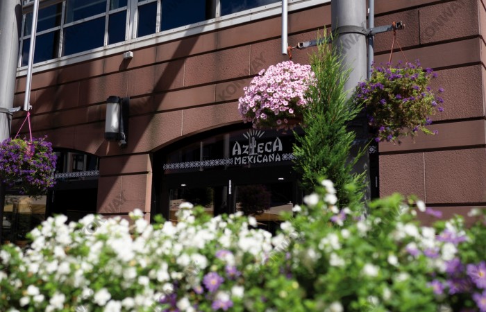 Azteca Mexicana