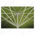 may__albatros_6x6m_lindgrn_schirmgestnge_homepage