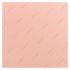 rosa_homepage_2012096682