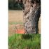 flint_535-a_ambiente_homepage