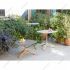 scab_tripe_amb02_homepage